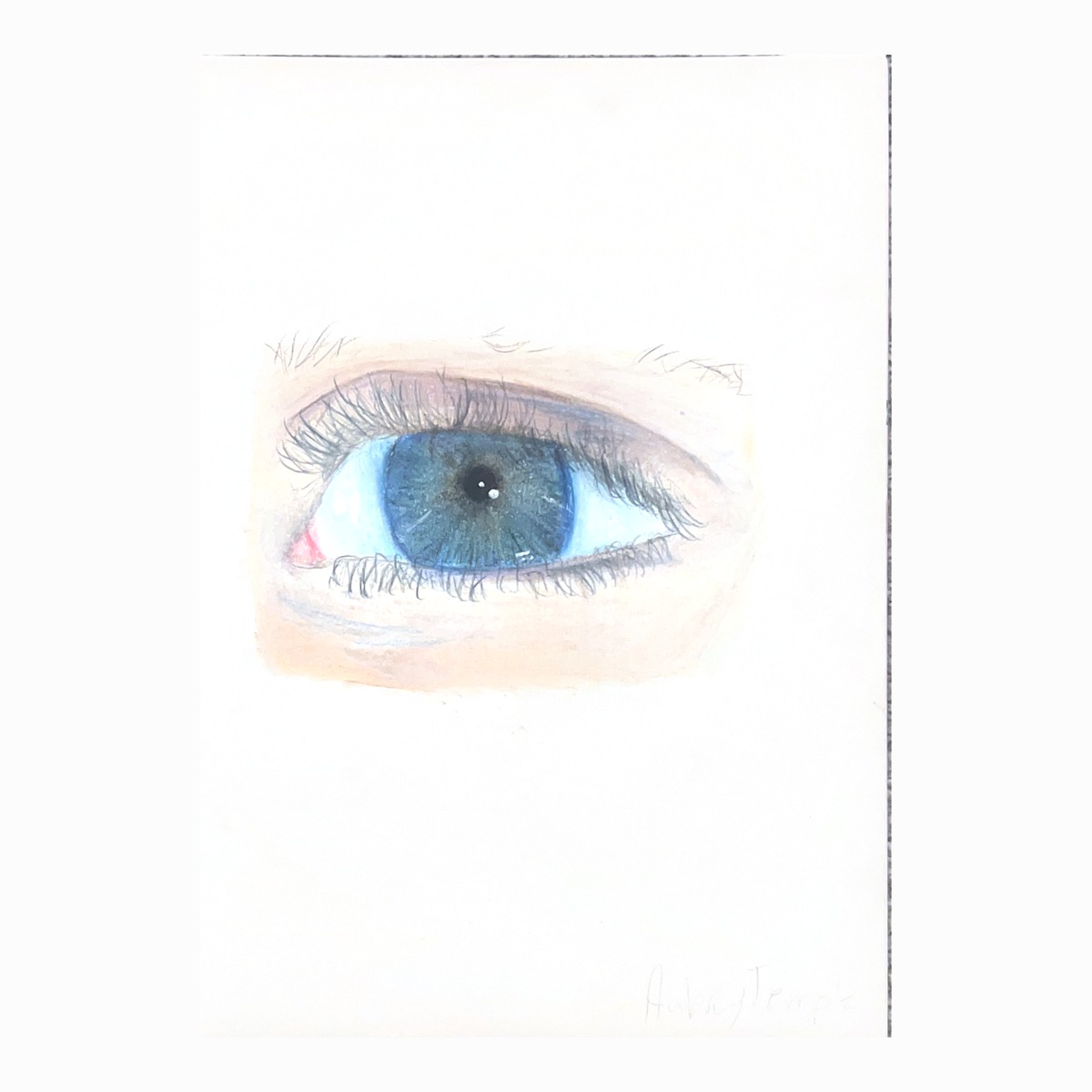 Eye drawing in blue colored pencil by Aubrey Temple