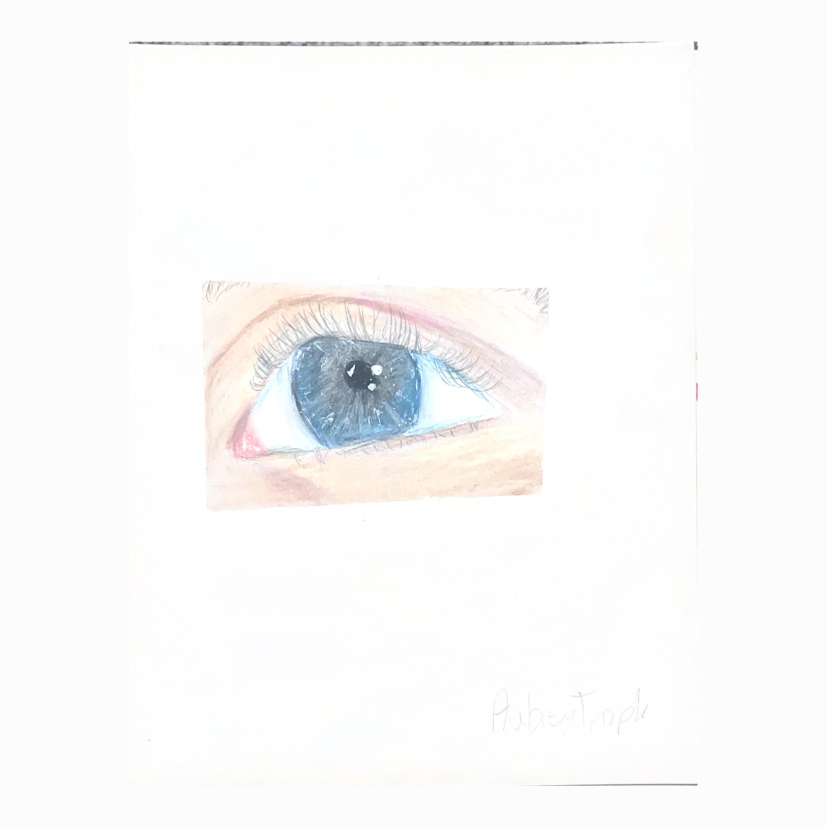 Eye drawing in blue colored pencil by Aubrey Temple